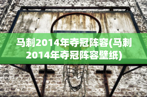 马刺2014年夺冠阵容(马刺2014年夺冠阵容壁纸)