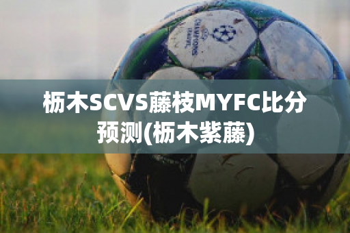 枥木SCVS藤枝MYFC比分预测(枥木紫藤)