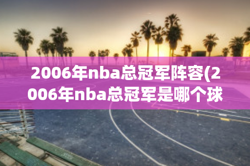 2006年nba总冠军阵容(2006年nba总冠军是哪个球队)