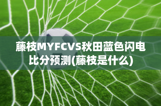 藤枝MYFCVS秋田蓝色闪电比分预测(藤枝是什么)