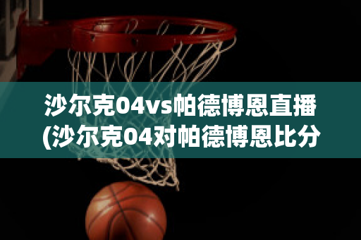 沙尔克04vs帕德博恩直播(沙尔克04对帕德博恩比分预测)