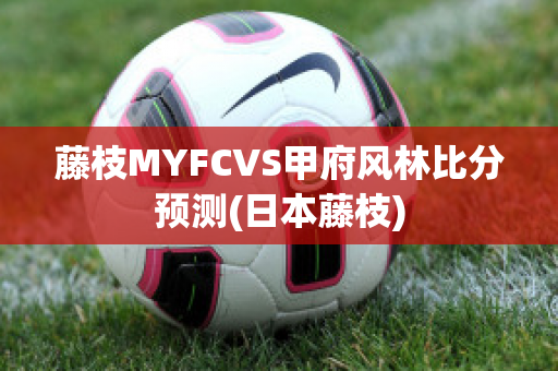 藤枝MYFCVS甲府风林比分预测(日本藤枝)