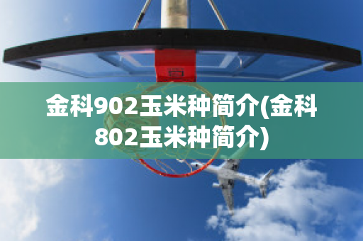 金科902玉米种简介(金科802玉米种简介)