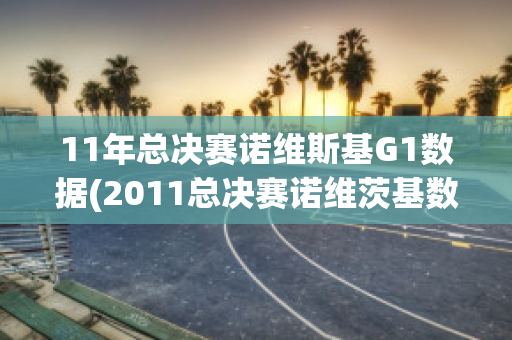 11年总决赛诺维斯基G1数据(2011总决赛诺维茨基数据)
