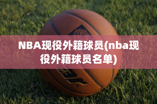 NBA现役外籍球员(nba现役外籍球员名单)