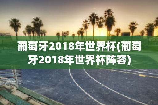 葡萄牙2018年世界杯(葡萄牙2018年世界杯阵容)