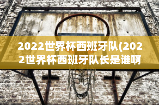 2022世界杯西班牙队(2022世界杯西班牙队长是谁啊)