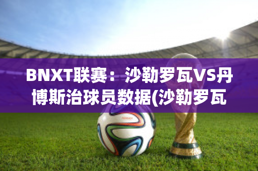 BNXT联赛：沙勒罗瓦VS丹博斯治球员数据(沙勒罗瓦vs华斯兰德)