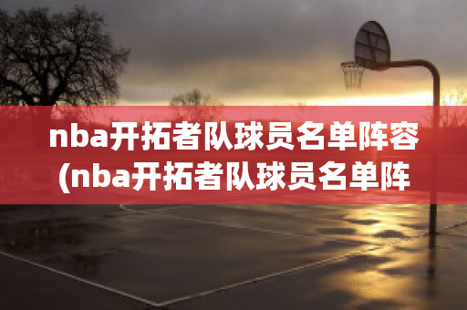 nba开拓者队球员名单阵容(nba开拓者队球员名单阵容介绍)