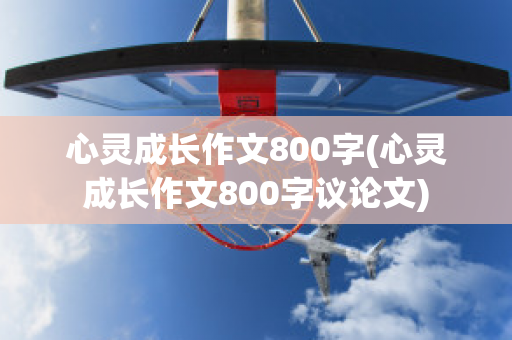 心灵成长作文800字(心灵成长作文800字议论文)