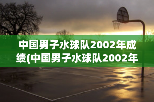 中国男子水球队2002年成绩(中国男子水球队2002年成绩单)