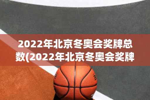 2022年北京冬奥会奖牌总数(2022年北京冬奥会奖牌总数排行榜)