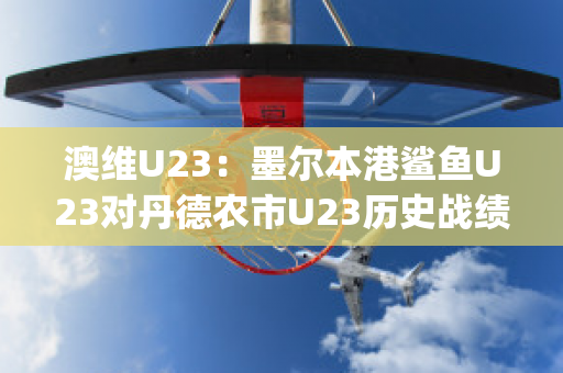 澳维U23：墨尔本港鲨鱼U23对丹德农市U23历史战绩(墨尔本港鲨鱼对休姆)