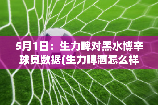 5月1日：生力啤对黑水博辛球员数据(生力啤酒怎么样)