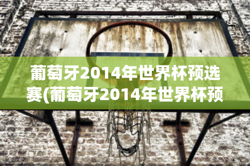 葡萄牙2014年世界杯预选赛(葡萄牙2014年世界杯预选赛阵容)