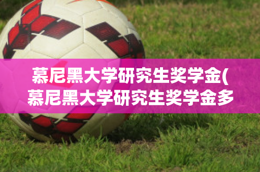 慕尼黑大学研究生奖学金(慕尼黑大学研究生奖学金多少钱)