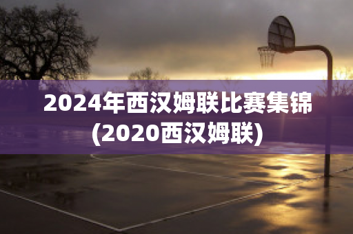 2024年西汉姆联比赛集锦(2020西汉姆联)