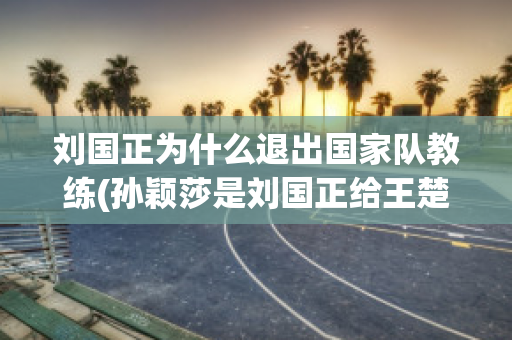 刘国正为什么退出国家队教练(孙颖莎是刘国正给王楚钦选的)