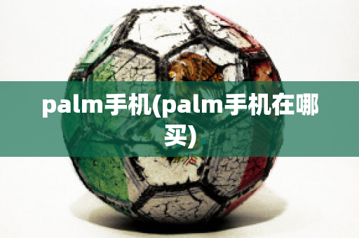 palm手机(palm手机在哪买)