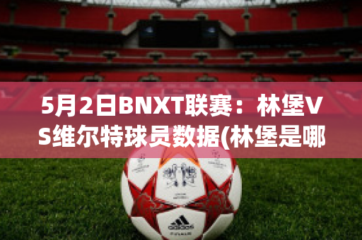 5月2日BNXT联赛：林堡VS维尔特球员数据(林堡是哪个国家的)