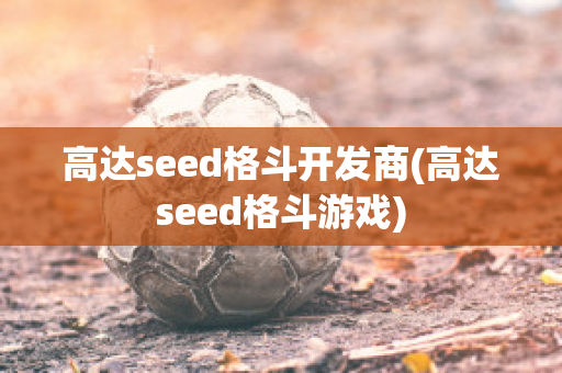 高达seed格斗开发商(高达seed格斗游戏)