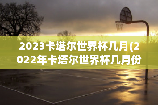 2023卡塔尔世界杯几月(2022年卡塔尔世界杯几月份)