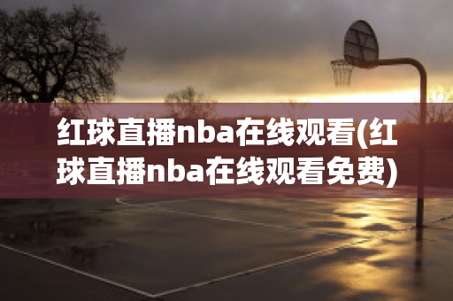 红球直播nba在线观看(红球直播nba在线观看免费)