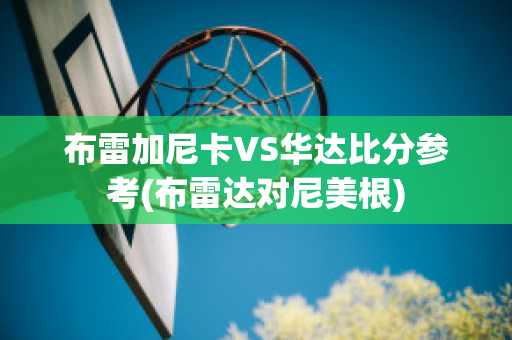 布雷加尼卡VS华达比分参考(布雷达对尼美根)