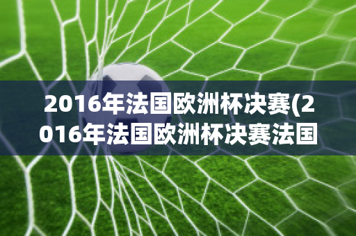 2016年法国欧洲杯决赛(2016年法国欧洲杯决赛法国对葡萄牙央视网)