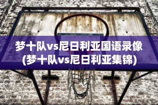 梦十队vs尼日利亚国语录像(梦十队vs尼日利亚集锦)