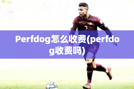 Perfdog怎么收费(perfdog收费吗)