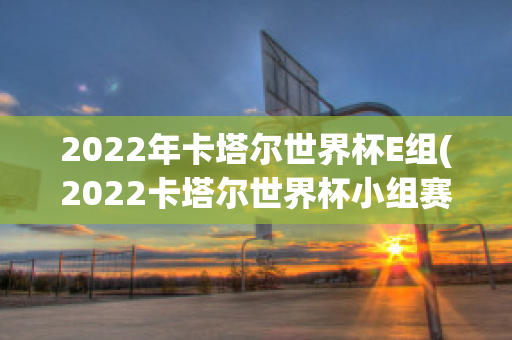 2022年卡塔尔世界杯E组(2022卡塔尔世界杯小组赛)