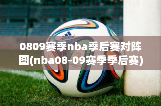 0809赛季nba季后赛对阵图(nba08-09赛季季后赛)