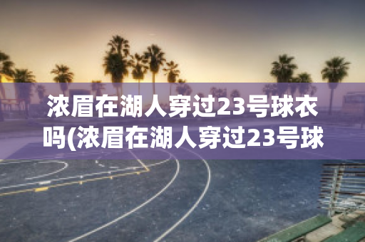 浓眉在湖人穿过23号球衣吗(浓眉在湖人穿过23号球衣吗图片)