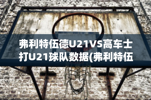 弗利特伍德U21VS高车士打U21球队数据(弗利特伍德挥杆视频)