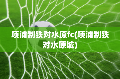 项浦制铁对水原fc(项浦制铁对水原城)