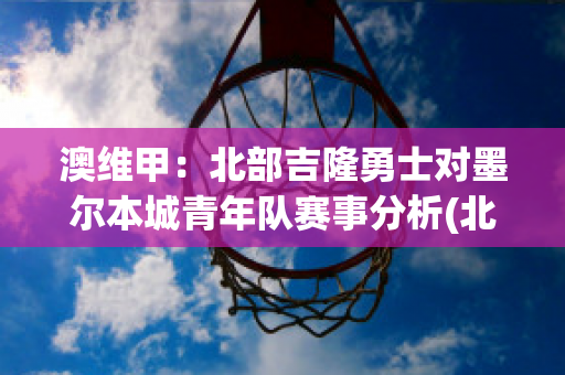 澳维甲：北部吉隆勇士对墨尔本城青年队赛事分析(北部吉隆勇士vs莫雷兰萨巴拉斯)