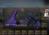 csgo美洲杯手套:美洲杯金手套