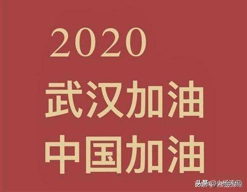 2011美洲杯决赛下载:2011年美洲杯决赛