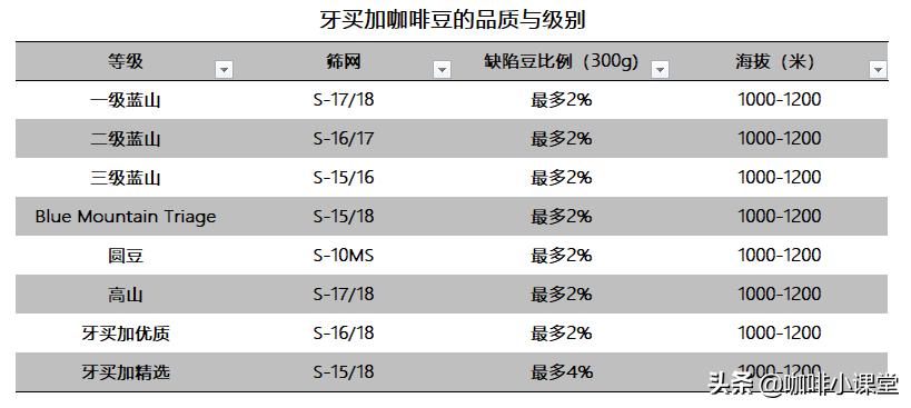 中美洲杯足球:中美洲杯足球比赛录像网站官网