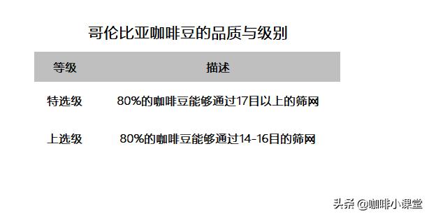 中美洲杯足球:中美洲杯足球比赛录像网站官网